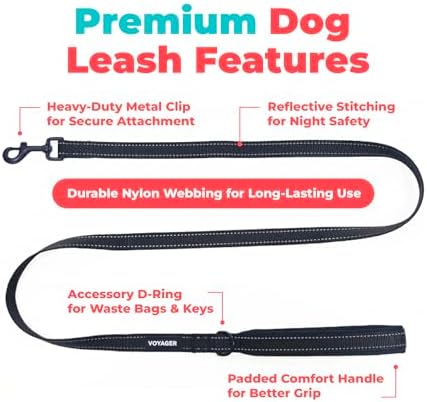 Best Pet Supplies Voyager Nylon Dog Leash - 6ft Black, Large - Image 2