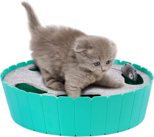 Pawaboo Interactive Cat Toy with Running Mouse, Automatic Track Kitten Toy by Pawaboo
