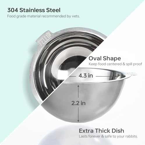 Felli Oblik 15° Tilted Small Animal Bowls for Pet Food & Water 6 oz Stainless Steel Dish Removable, Slanted Metal Plate Feeder for Kitten Puppy Rabbit Bunny Guinchilla Pig (0.75 Cups, Classic) - Image 3