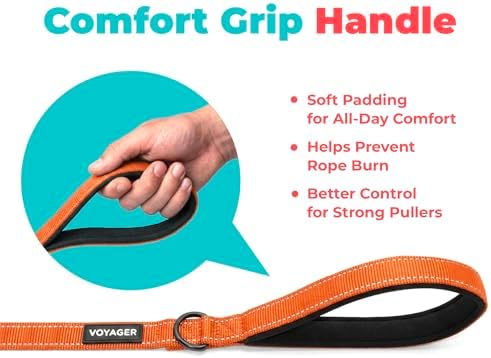 Best Pet Supplies Voyager Nylon Dog Leash - Orange, Medium - Image 5