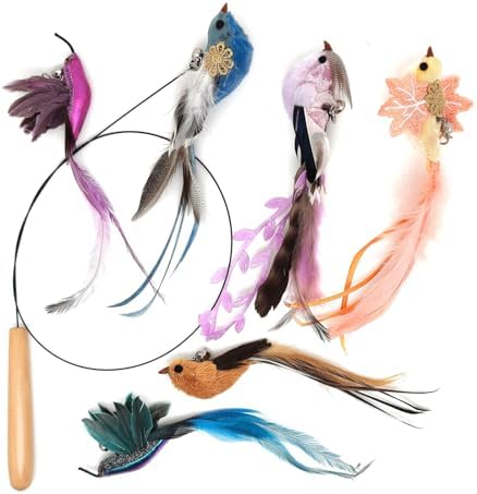 miwoowim 35" Steel Wire Cat Wand Toy & 6PCS Realistic Feather Bird Refills - Image 2