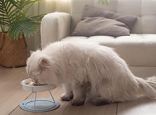 Ceramic Fish-Bone Slow Food Bowl for Cats and Dogs, Dishwasher Safe, Non-Toxic, Engaging Design, Prevents Obesity - Image 6