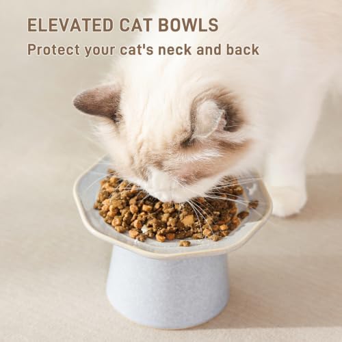 6" Wide Elevated Cat Food Bowls Ceramic Shallow Cat Dish Plate, Anti Vomiting, Whisker Fatigue, Light Gray Blue - Image 5