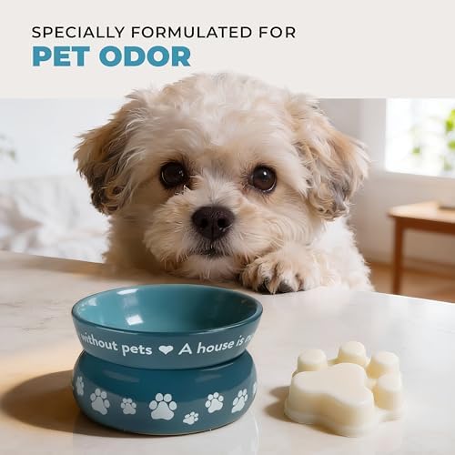 Mediterranean Sea Summer Wax Melts Plant-Based Wax, 2 Pack Pet House - Image 6