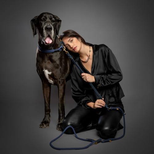 NOAH & PAW Hands Free Dog Leash, Oil-Waxed Leather & Heavy-Duty Paracord, 8 ft, Long Dog Leash with 6 Ways to Use (Ideal for Cats, Small, Medium & Large Dogs) Matching Collar Available. (Dark Blue) - Image 3