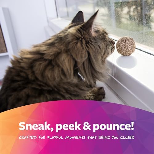 SmartyKat Catnip Kiss Compressed Cat Toy Ball, Mess-Free Concentrated Catnip Power for Chase & Pounce Play for Cats & Kittens, One Size - Image 5