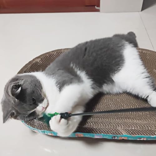 4 PCS Interactive Cat Teaser Wand - 20" Long Wand with Loud Bell for Cat and Kitten - Image 6