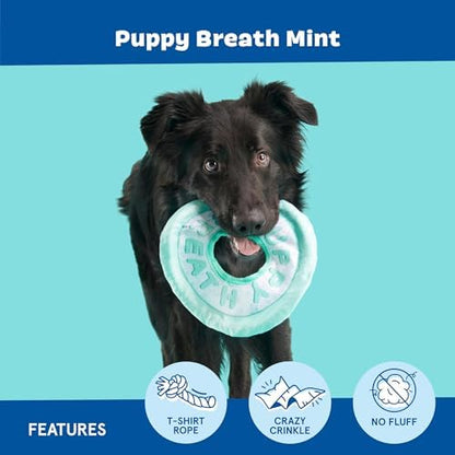 BarkBox Puppy Breath Mint Dog Toy - for Dogs - Image 3
