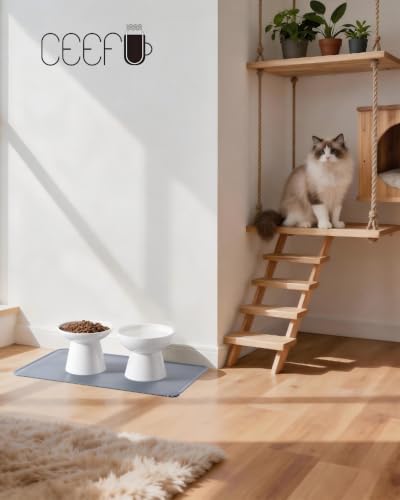 CEEFU 2 Elevated Ceramic Cat Bowls Upgraded with Food Mat for Food & Water - Image 6