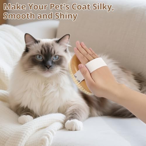 Boar Bristle Cat Brush for Indoor Cats, Cat Hair Brush Gentle Grooming, Reduce Shedding, Soft Hair and Healthy Shine, Bamboo Handheld with Soft Boar Bristles and Band for Short Haired Cats Dogs - Image 3