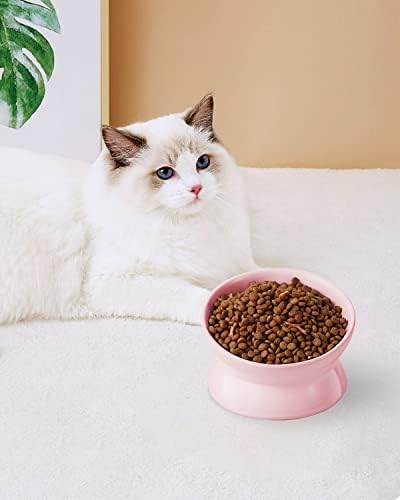 LoeJan Elevated Cat Food Bowl, 5 Oz Ceramic Raised and Tilted Water Bowl, Anti Vomiting and Protect Pets' Spines Dishes for Small Dog, Fat Faced Cat, Kitten (Pink, 1 Pack) - Image 7