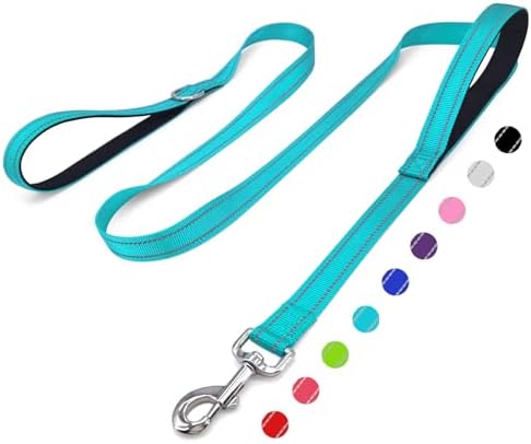 6 FT Blue Nylon Reflective Dog Leash for Large Dogs with 2 Padded Handle by Unknown