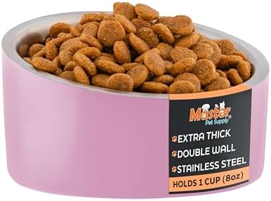 Master Pet Supply Stainless Steel Slanted Dog Cat Food Bowl 8 oz Hyper Pink by MasterPetSupply