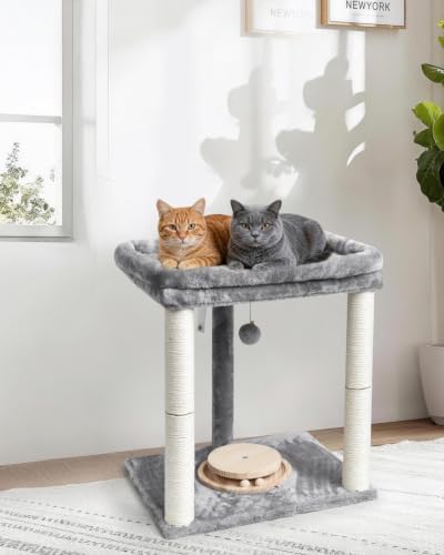 Small Cat Tree with Large Top Perch & Cat Ball Track Toy, Indoor Cat Tower - Image 5