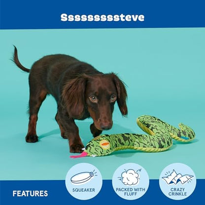 BarkBox Ssssssssteve Dog Toy - for Dogs - Image 4