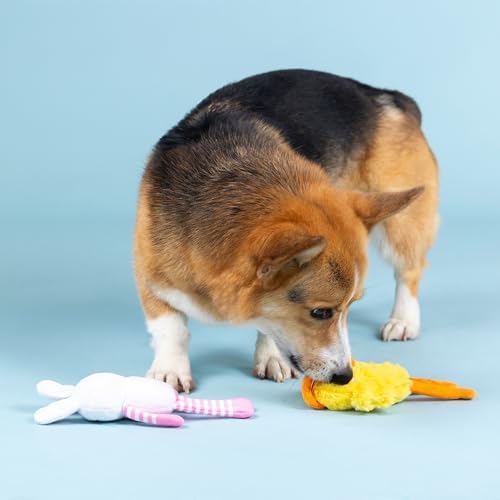 Fringe Studio Plush Dog Toy, 2 Pieces Set, Hoppy GO CLUCKY, Petshop Collection (312064) - Image 4
