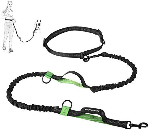 Mile High Life Hands Free Leash, Waist Leash for Dog Running Training and Jogging, Adjustable Belt with Double Padded Handle, Reflective Bungee for Medium Large Dogs (Green, 7FT) by MileHighLife