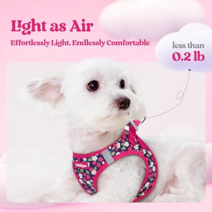 rabbitgoo Dog Harness Small Sized and Leash Set, Step-in Puppy Pet Vest - Image 3