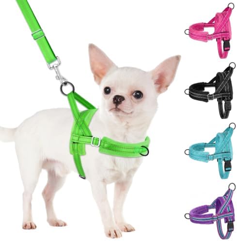 SlowTon No Pull Small Dog Harness and Leash Set with Front Clip by SlowTon