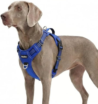 Funfox Dog Harness No Pull, Adjustable Pet Vest Harness, Super Soft Material with Vertical Handle Easy Control, Reflective Night Walking, 2 Leash Clips for XLarge Dogs, Blue, XL by MyFUNFOX