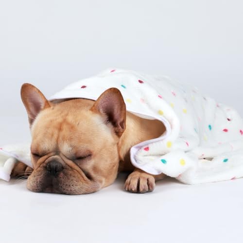Luciphia 1 Pack 3 Blankets Super Soft Cute Dot Pattern Pet Blanket Flannel Throw for Dog Puppy Cat Large(41x31), Brown - Image 5