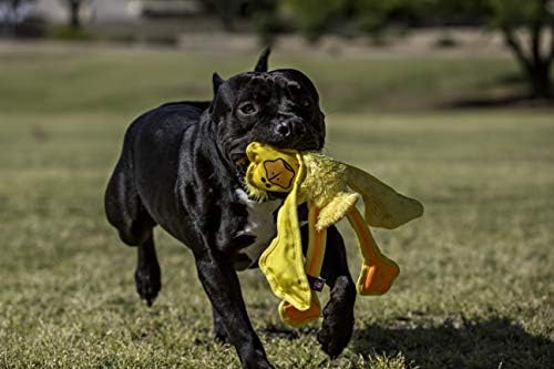 Multipet Skele Dog Rope - Nylon Tug of War - Squeaky Toy for All Dogs - Animal Dog Toy for Playing Toss & Fetch (15", Tan) - Image 3