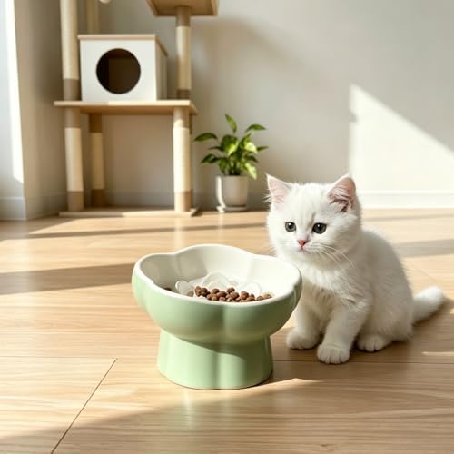 Ceramic Elevated Slow Feeder Cat Bowl, Whisker Friendly Dish 5.7" - Image 5