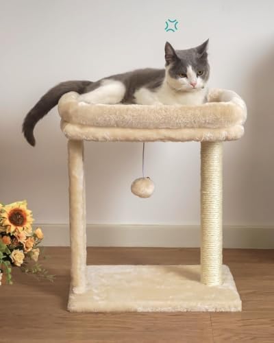 SYANDLVY Small Cat Tree for Indoor Cats, Scratching Board with Perch - Image 2