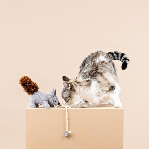 Fringe Studio ONE TUFF NUT Teaser Cat Toy, PetShop Collection (717001) - Image 7