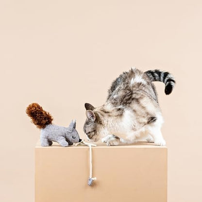 Fringe Studio ONE TUFF NUT Teaser Cat Toy, PetShop Collection (717001) - Image 7