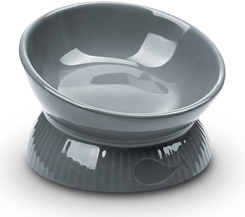 Elevated Pet Feeding and Drinking Bowls, Ceramic Tilted Cat Food Bowl, Anti Vomiting, Stress Free on Neck and Spine, Spill-Proof, Anti-Tipping, Dishwasher Safe, Raised Pet Bowls, Dry/Wet Food by Kopmath