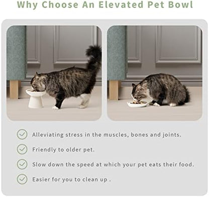 CEEFU 2-Pack Extra Wide Elevated Ceramic 6.2" Shallow Cat Food Bowls - Image 6