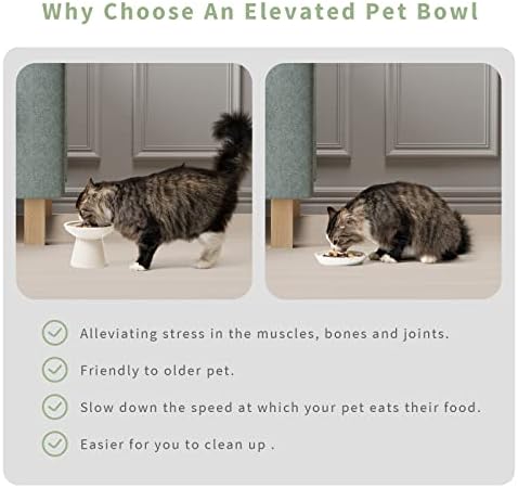 CEEFU 2-Pack Elevated Ceramic Cat Bowls Extra Wide for Food & Water - Image 5
