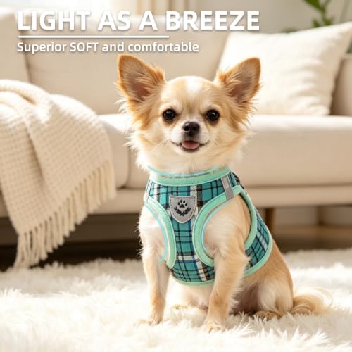 PUPTECK Dog Harness, Collar and Leash Set No Pull for Small Medium Sized - Image 3