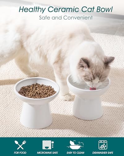 vancasso 2-Pack 6.2" Wide Elevated Cat Bowls, Ceramic Raised Cat Bowls - Image 3