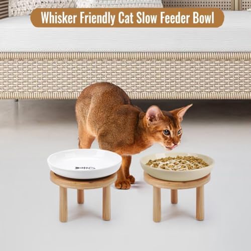 Shallow Elevated Cat Bowls with Bamboo Stand, 5.9 Inch Raised Slow Feeder Cat Bowl and Wide Ceramic Cats Bowls Whisker Friendly, 2 Pack Pet Dishes for Dry and Wet Food Dishwasher Safe - Image 6