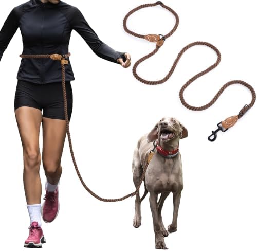 Mile High Life Hands Free Dog Leash, Crossbody Waist Leash with Genuine Leather Connection, Multifunctional Adjustable Slip Lead for Dog Walking Running (Dark Brown, 8FT) by MileHighLife