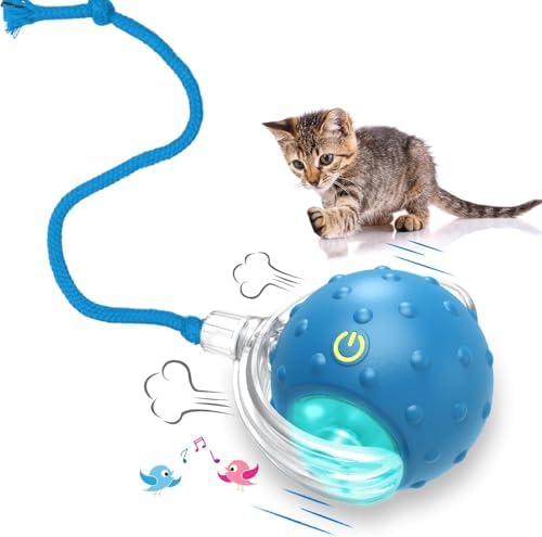 Interactive Cat Toys Ball for Indoor Cats (Blue) by Unknown