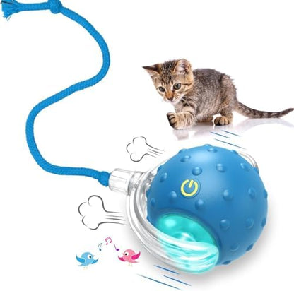 Interactive Cat Toys Ball for Indoor Cats (Blue) by Unknown