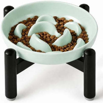 Elevated Slow Feeder Cat Bowl - Melamine Cat Food Plate with Anti-Slip Metal Stand - Raised Maze Dish for Slow Eating - Mint Green by PTOBER