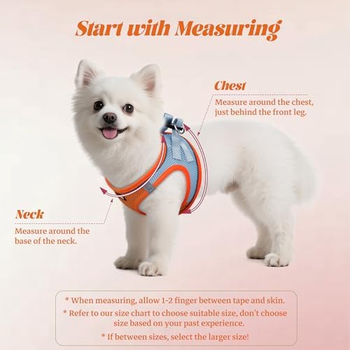 No Pull Dog Puppy Harness and Leash Set Reflective Mesh Vest X-Small - Image 2