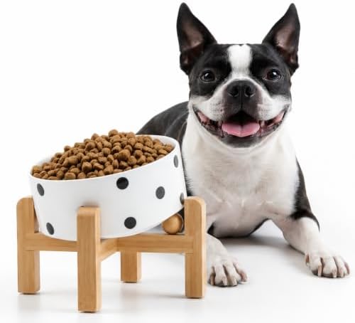 Petygooing Raised/Elevated 15°Slanted Ceramic Dog Bowl for Small Breeds,Tilted Anti Slip Pet Bowl,Food Water Dish with Stand for Cats and Small Dogs Puppy 13.5 OZ (5.1In / 1.7 Cups) Black Dot by PetygooingforYOURLOVEDPET