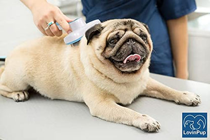 Pet Slicker Brush - Self Cleaning Brush for Dogs & Cats w/Retractable Bristles for All Hair Types - Massaging Pins Remove Tangles & Mats Painlessly - Durable Grooming Tool for Dogs & Cats
