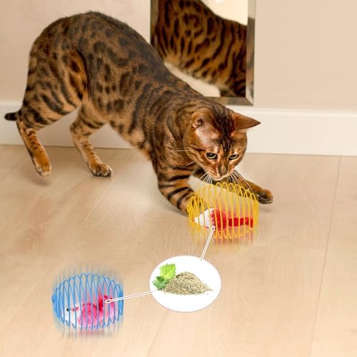 Jecery 5 Pcs Cat Toys Spring,Catnip Rats,Bright Color - Image 7
