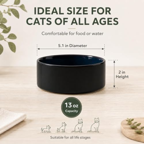Havniva Cat Bowls Set of Two, 5.1” Ceramic Cat Food Bowls, Cat Water Bowl - Image 2