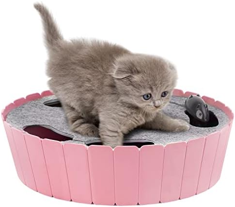 Pawaboo Interactive Cat Toy with Running Mouse, Automatic Track Kitten Toy by Pawaboo