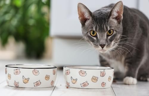 Pearhead Ceramic Cat Bowl, Holds 12 oz, Whisker-Friendly Pet Dish for Food and Water, Cute Cat Face Design (Pack of 2) - Image 6