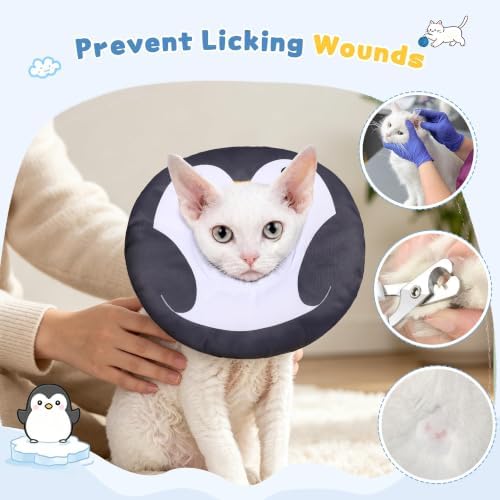Soft Cat Cone, Medium Waterproof Cat Recovery Collar - Image 5