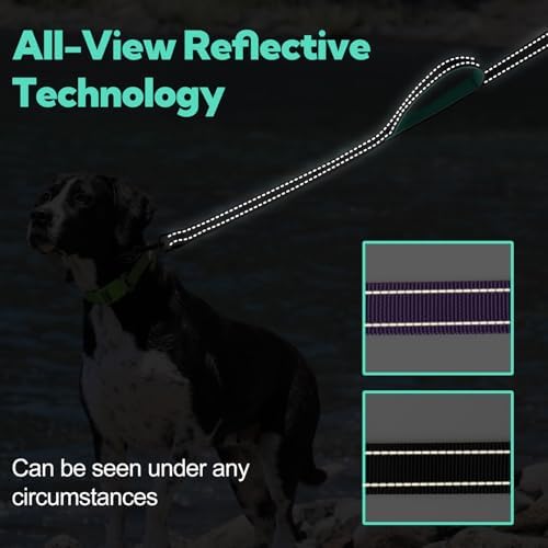 Double Handle Dog Leash 6FTX1IN, Heavy Duty Leash with Reflective, Black - Image 4