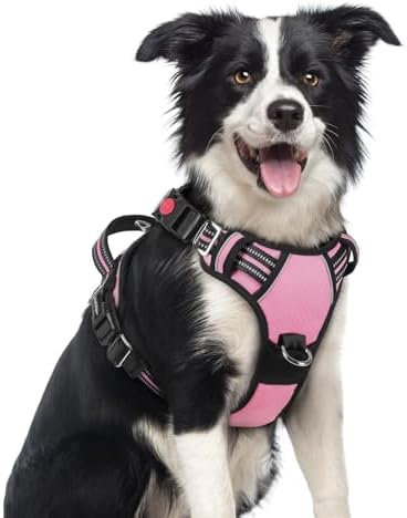 rabbitgoo Dog Harness Medium Sized, No Pull 3 Buckles Easy On & Off by rabbitgoo